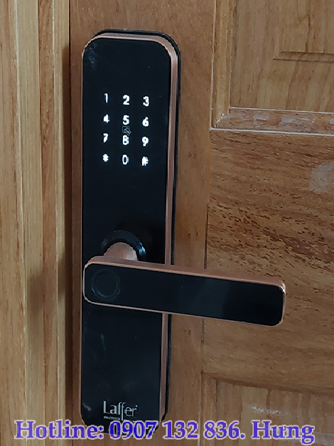 Lắp Ráp Khóa Vân Tay Cửa Gỗ